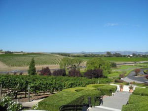 Sonoma Valley